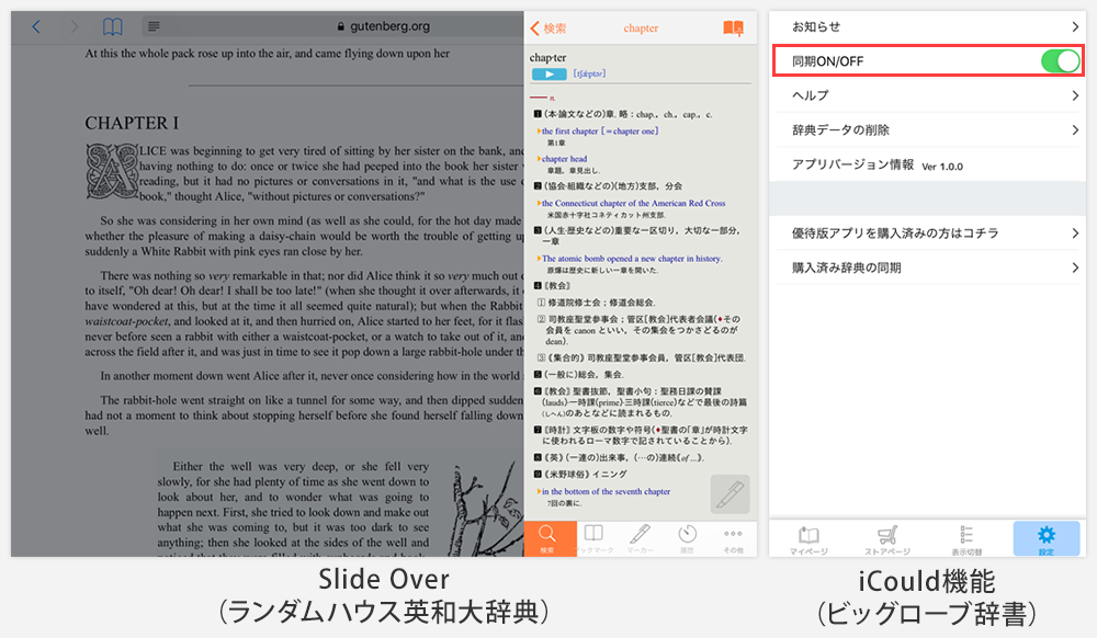 Slide Over（iOS11以降のiPadのみ）・iCould機能