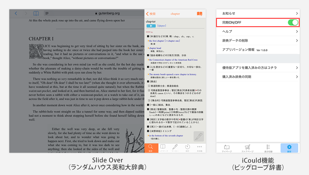 Slide Over（iOS11以降のiPadのみ）・iCould機能